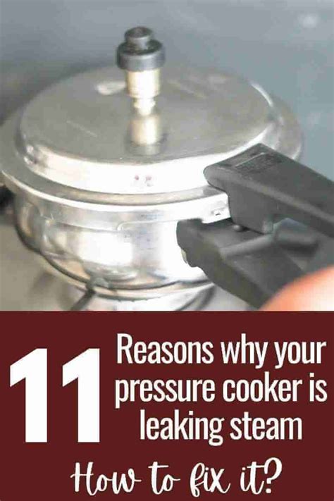 pressure cooker leaking water|8 Tips To Fix The Pressure Cooker Leaking Steam Issue